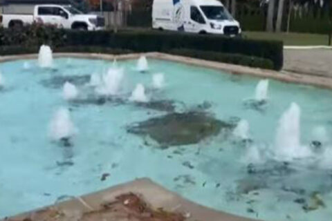 A pool with a 6 pump