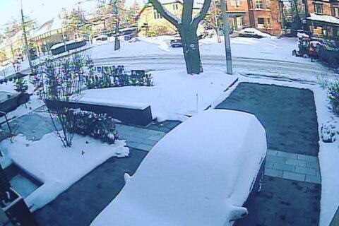 Snow-covered car in a driveway