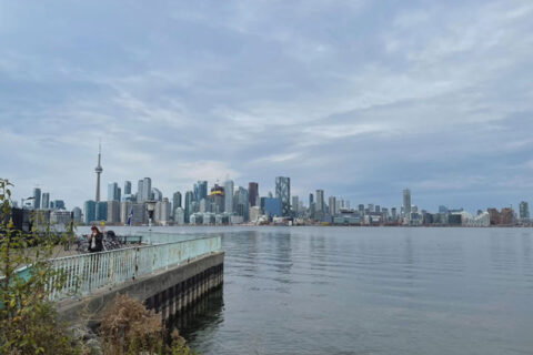 A lake view with the full city view