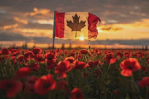 Canada Flag with a field of flowers