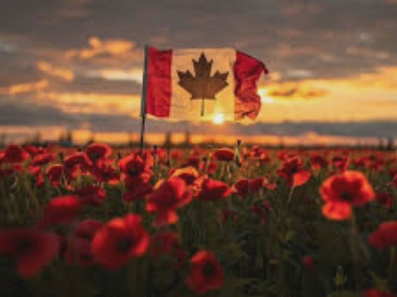 Canada Flag with a field of flowers