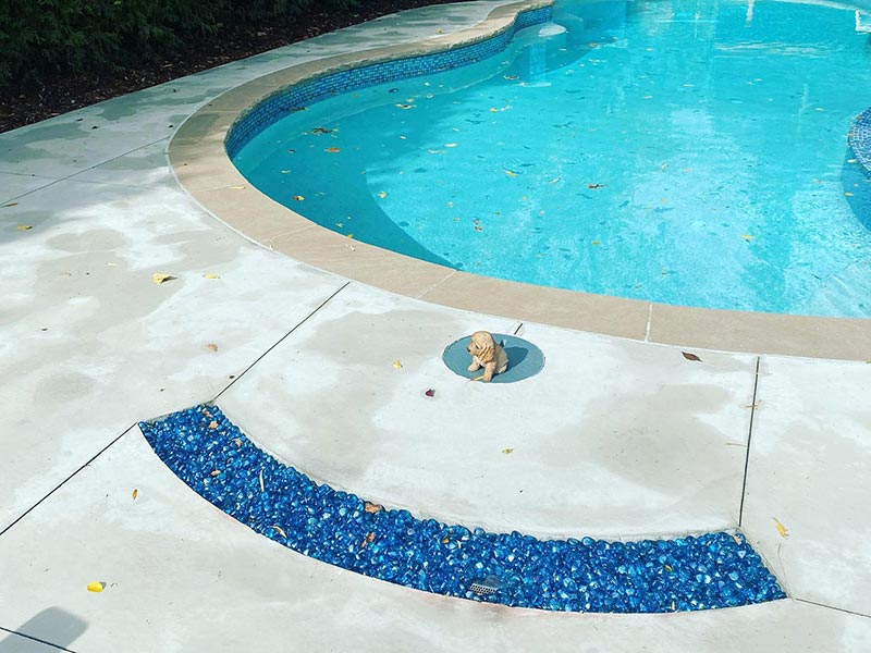 swimming pool